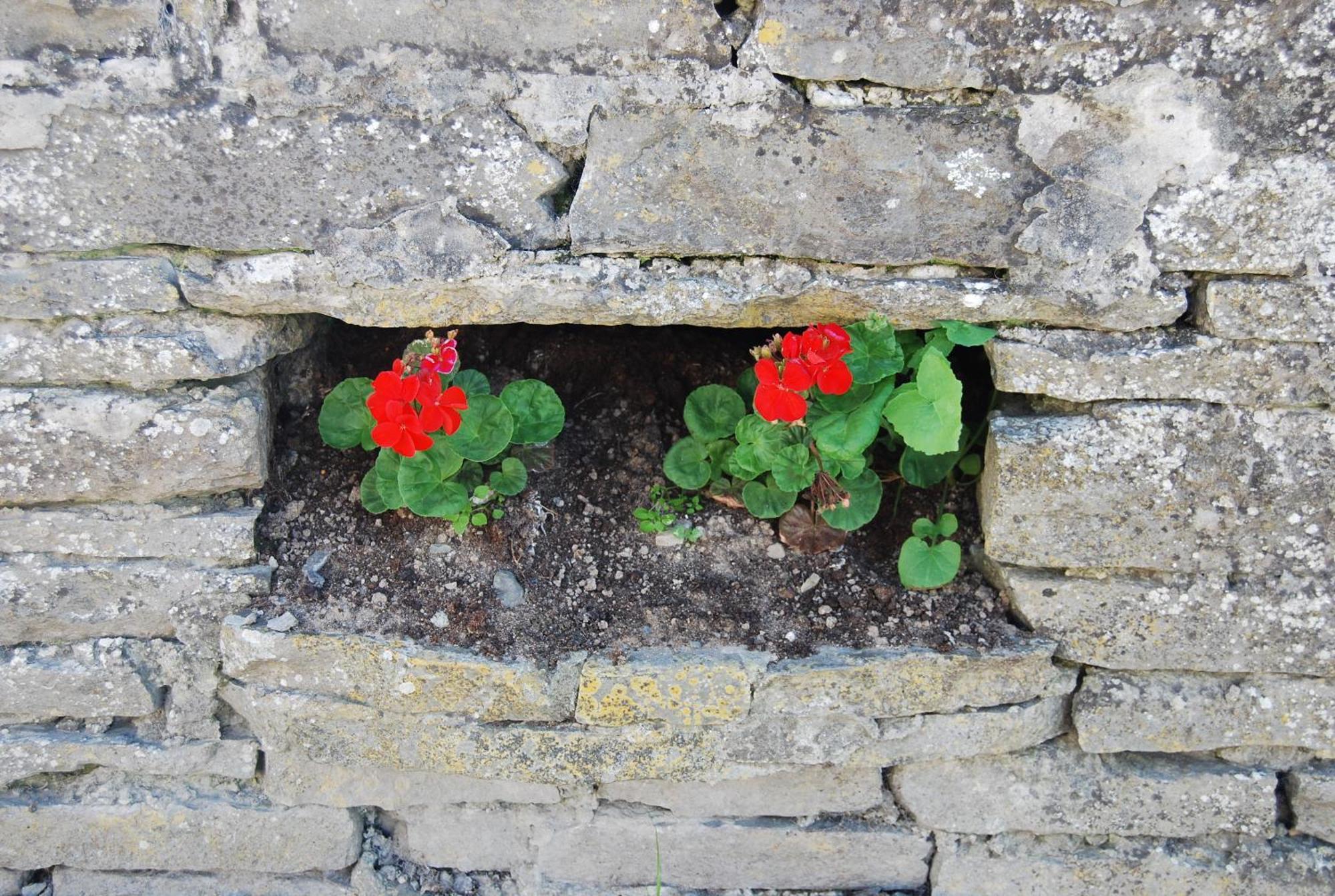 Clonmore Lodge B&B Quilty Exterior photo